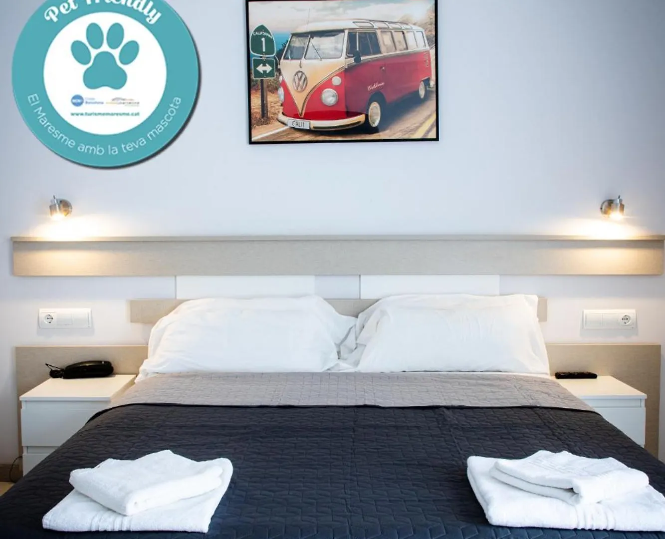 Apartamentos Comfort Calella contacts